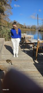 Sweatshirt mit Stehkragen und weichem Stoff